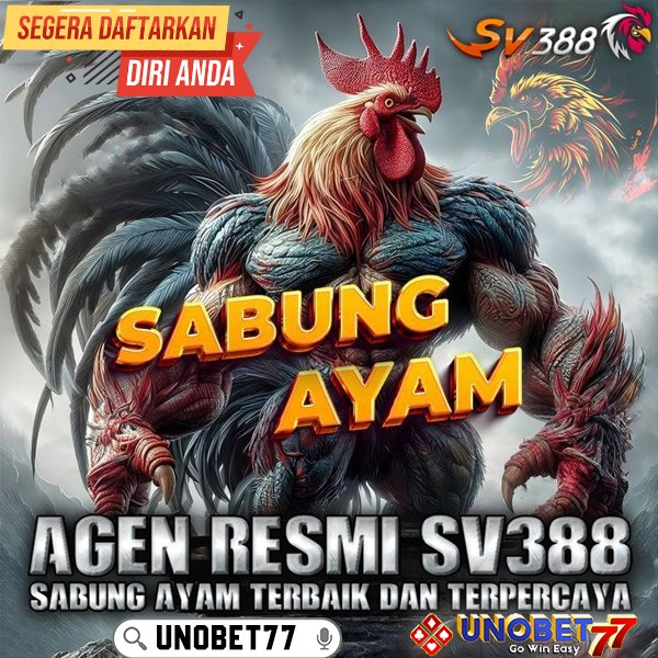 INDOPLAY77 $ Platform SV388 Bandar Sabung Ayam Online Arena Filipina